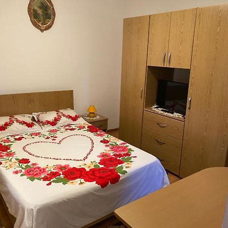Hotel Garsoniera Delfinariu à Constanţa Extérieur photo