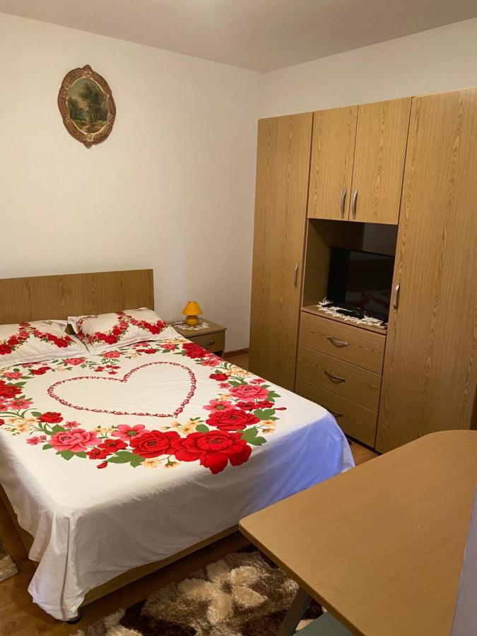 Hotel Garsoniera Delfinariu à Constanţa Extérieur photo